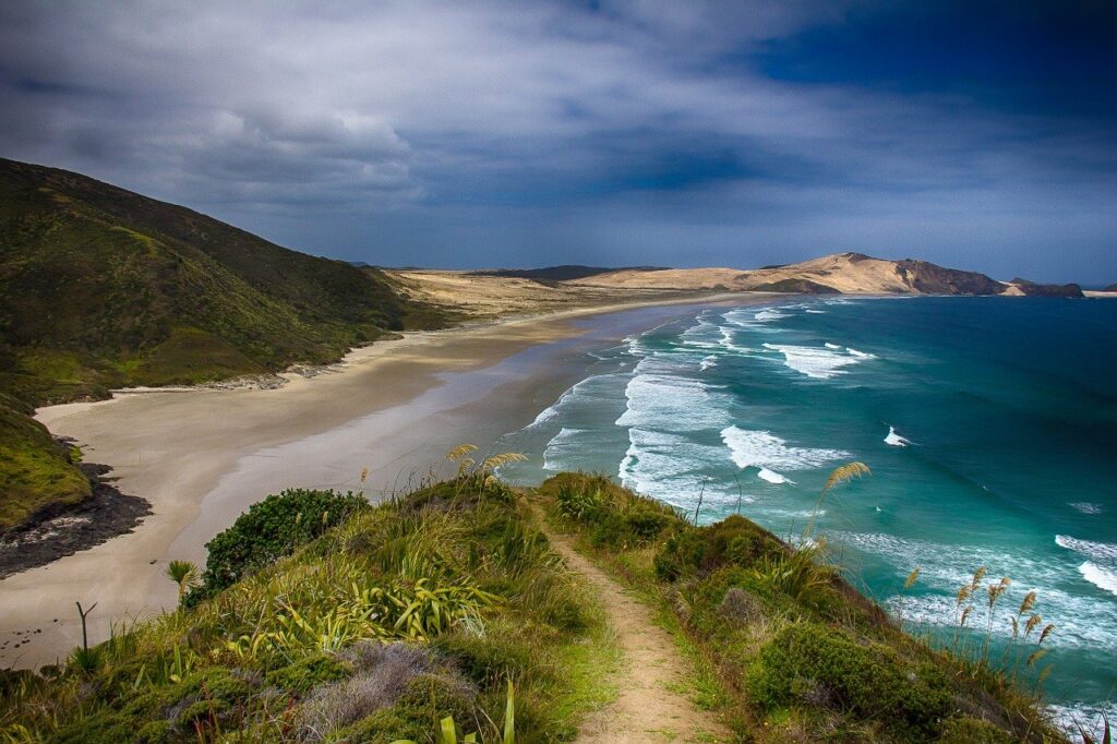 "Podrás disfrutar de estas hermosas playas si participas del programa Working Holiday New Zealand"