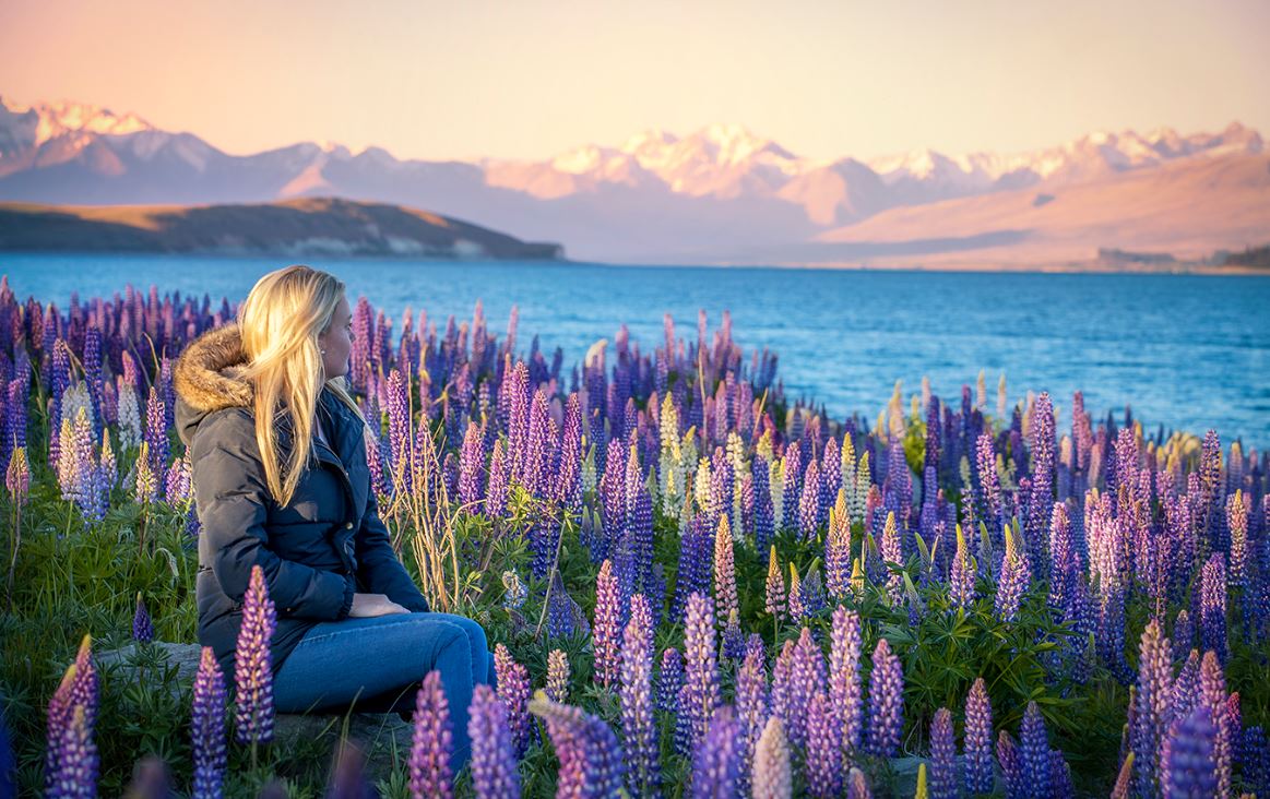 "Mujer rubia disfrutando de su working holiday New Zealand en un campo de flores moradas silvestres de altramuz"